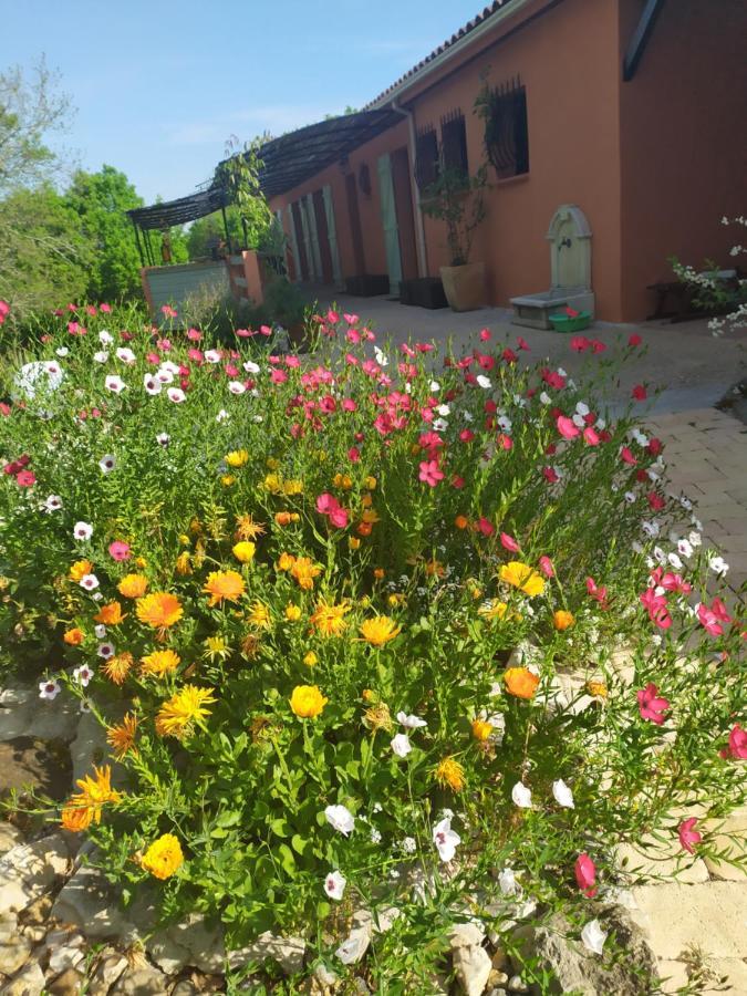 Bed & Breakfast De Balmes