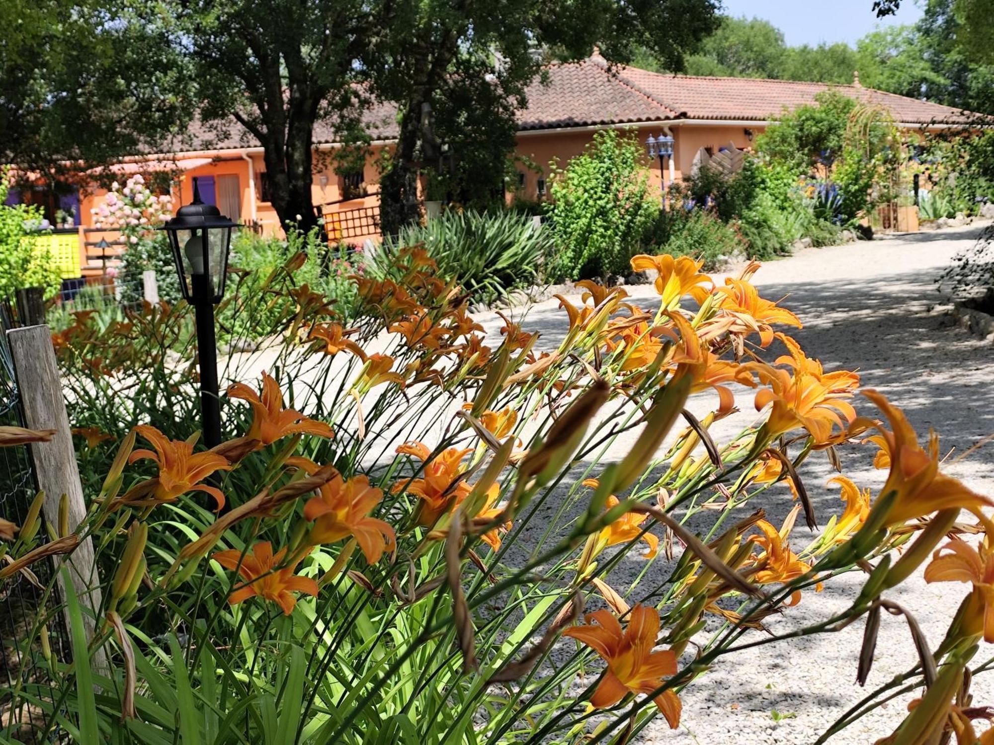 Bed & Breakfast De Balmes *